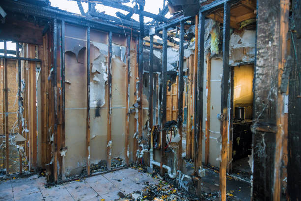 Professional Fire Damage Removal technician working in Pace, FL